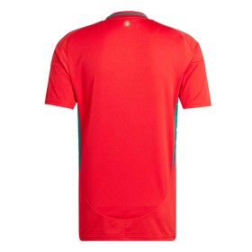 Fotbalové dres Wales Domácí 2024 Krátký Rukáv